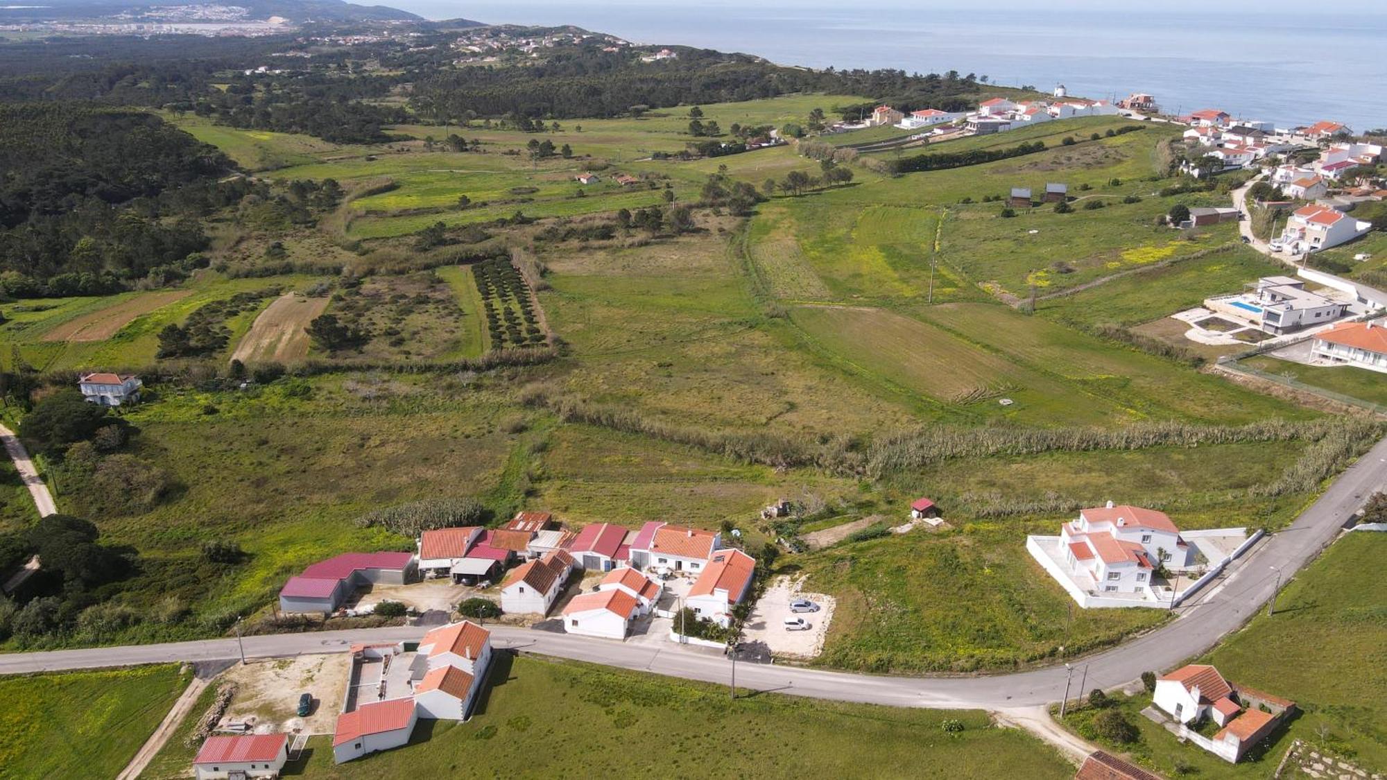 Casas Com Amoras In Serra Da Pescaria Holiday home Famalicao